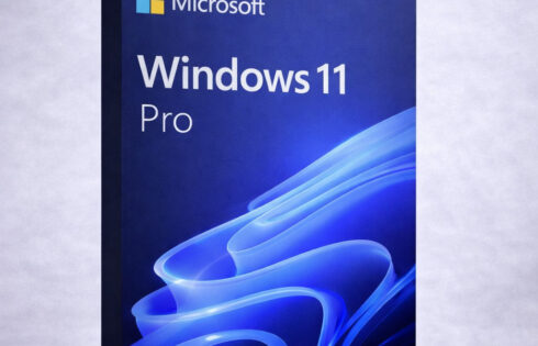 Microsoft Windows 11 Pro Digital License